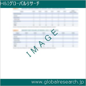 グローバルリサーチ調査レポートのイメージ